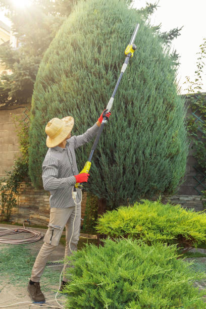 Best Emergency Storm Tree Removal  in Oakland, IA